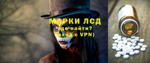 гашик Сосновка