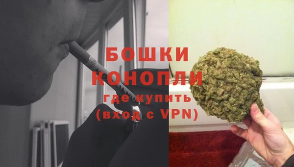 гашик Сосновка