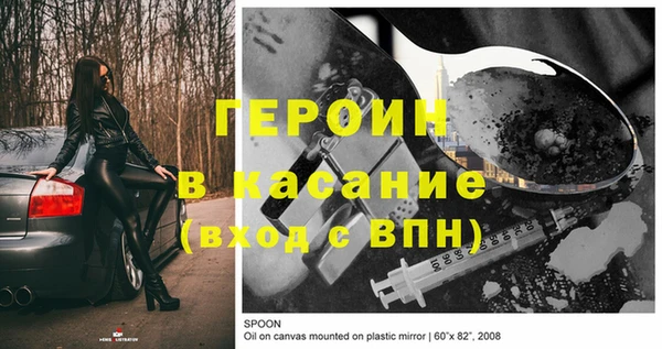 гашик Сосновка