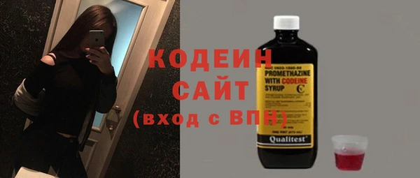 гашик Сосновка